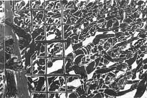 Schoepfung, Oel auf Baumwolle, 1430x180cm, 1985