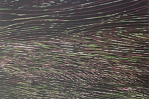 Spiegelungen, 2003, Farbholzschnitte von 3 Stoecken auf Papier, 54x40 cm