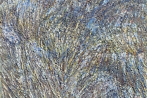 Feld, 2019, La Croix Valmer, Acryl, Pigment, Sand auf Leinwand, 80x80cm