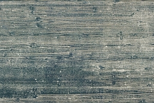 Oel auf Baumwolle und Holzschnitt, 80x200cm, 2000