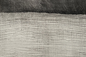 Felder, 1971, Kaltnadel/Aquatintaradierung, 35,9x49,5 cm
