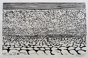 Feld, 1972, Holzschnitt, 54,5x70 cm