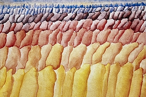 Felder 3, 1974, Aquarell, 22.5x31 cm