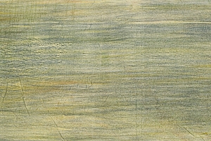 Oel auf Baumwolle und Holzschnitt, 80x200cm, 2000