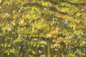 Feld, Löwenzahn, 2019, Acryl, Sand, Oel auf Leinwand, 80x80 cm