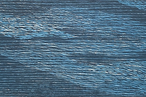 Spiegelung 2, 2012, Holzschnitt, 20x40 cm