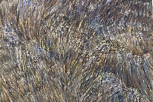 Feld, Lavendel, 2019, Acryl, Sand, Oel auf Leinwand, 80x80 cm