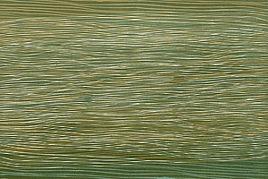 Energiefeld See, 1999, Holzschnitt, 40x40 cm